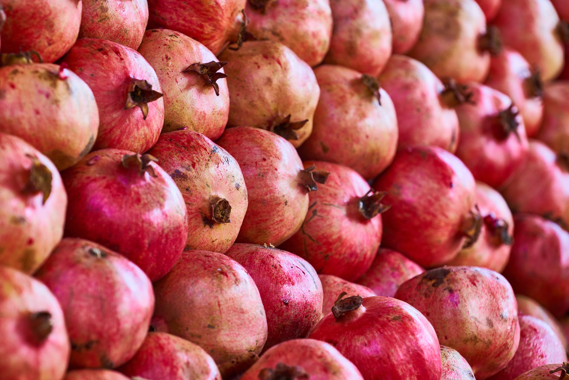 close up photo of a bunch of pomegranates
