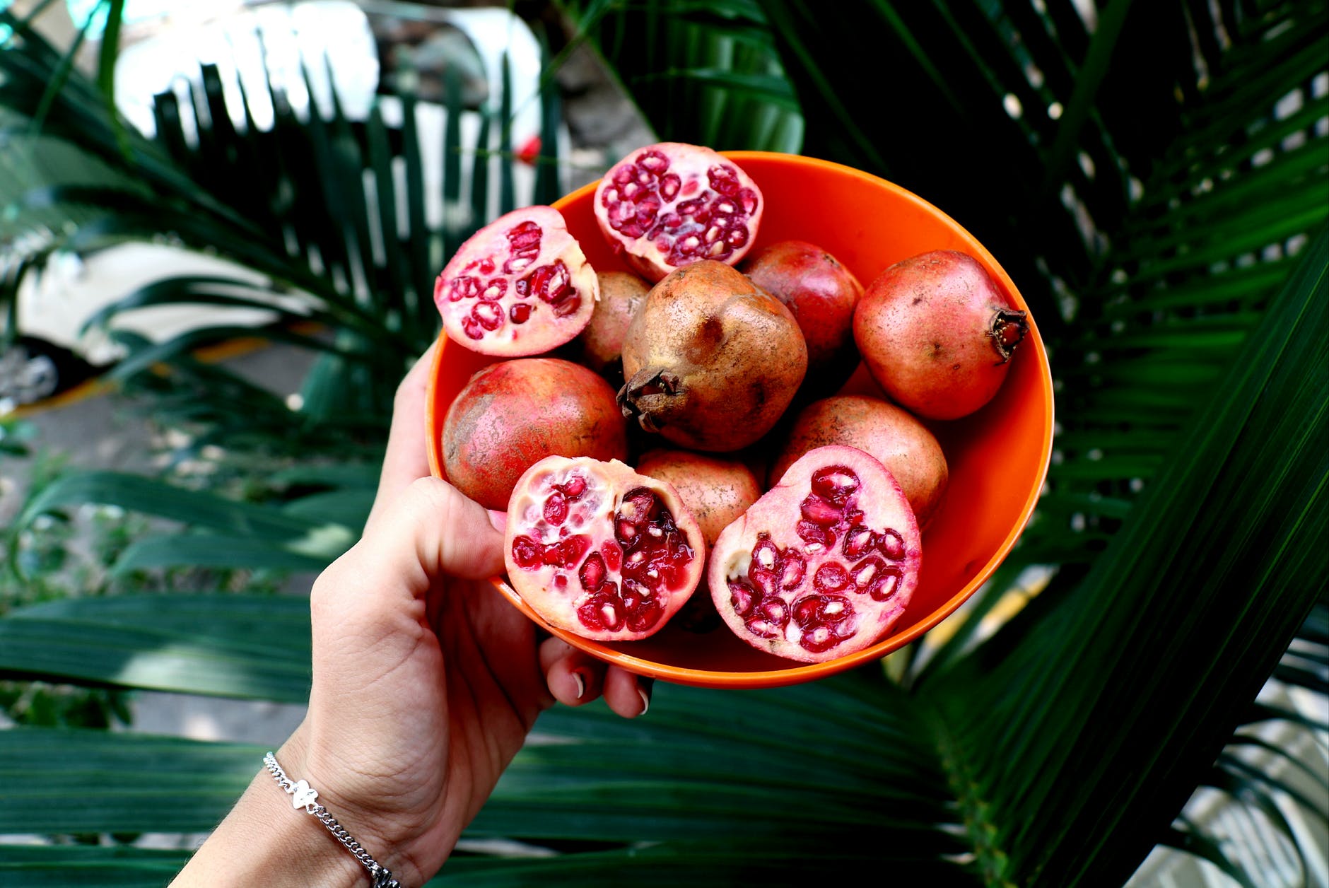 red pomegranates