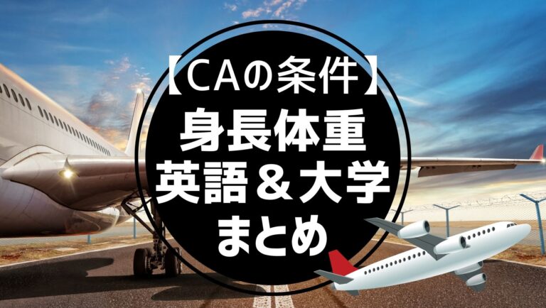 空港の駐機場に停まる飛行機