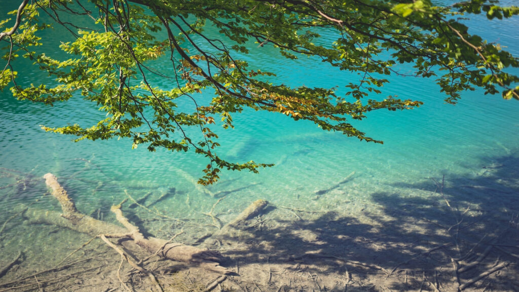 エメラルドグリーンの湖の夏のプリトヴィツェ国立公園