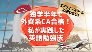 エミレーツ航空caの給料と福利厚生 実際の給与公開 外資系ca年収 クロアチアトラベル